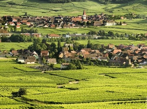 Ruta del Vino en Alsacia