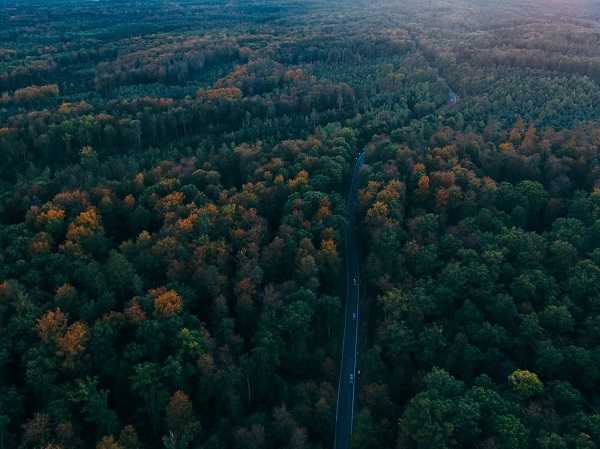 Dese Estrasburgo a la Selva Negra