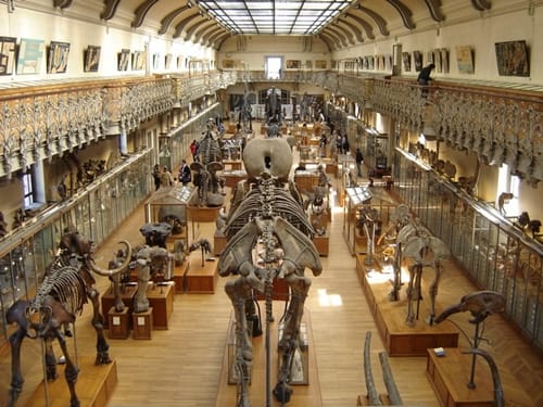 Museo de Historia Natural de Francia