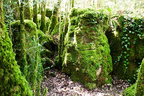 El Laberinto Verde, en Nébias