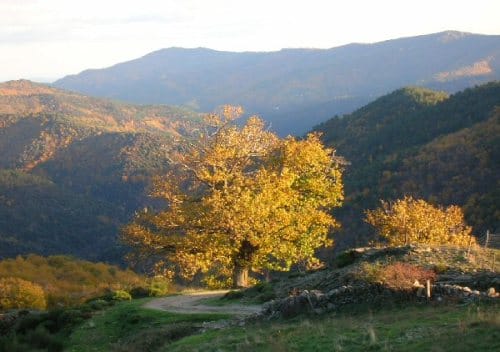 El Parque Nacional Cevennes El Parque Nacional Cevennes
