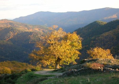 El Parque Nacional Cevennes